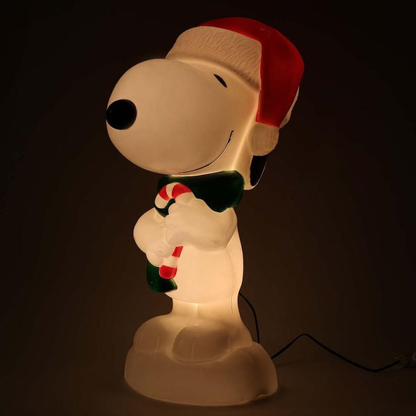 Happy Holidays from 2024 Snoopy light up Blow Mold !